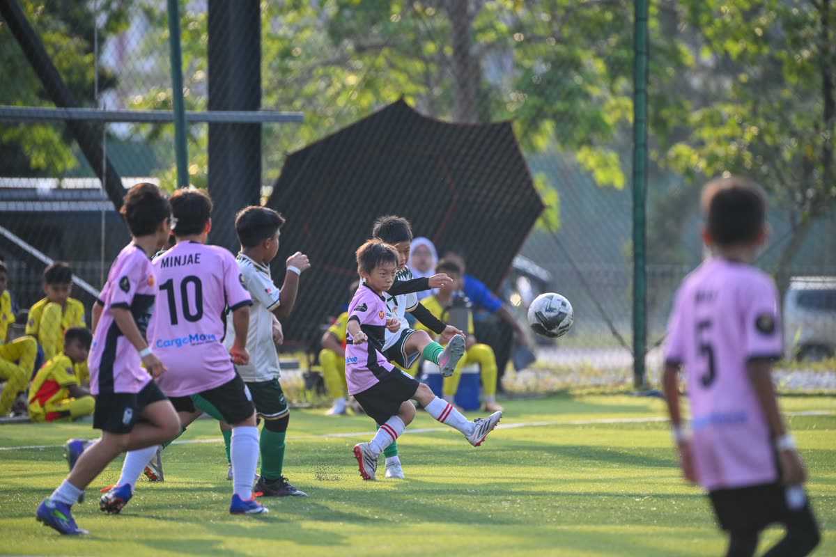 XFOX photo 3